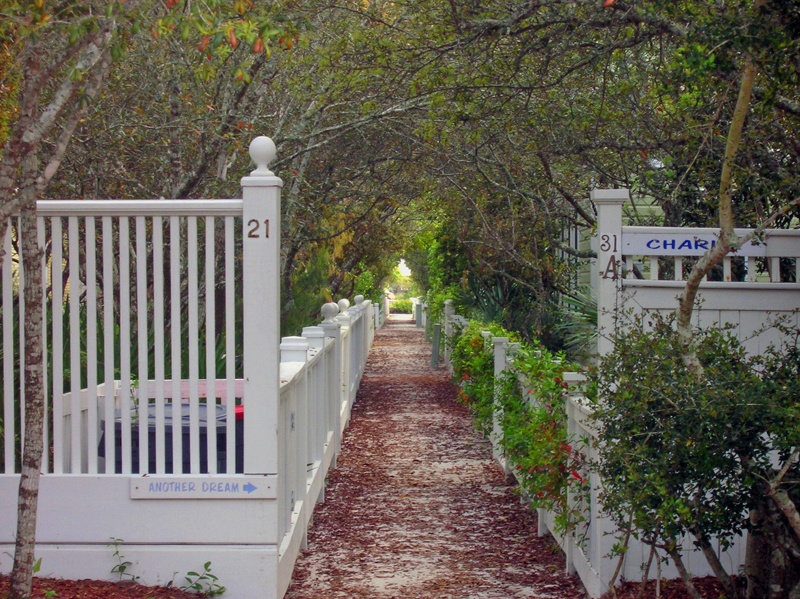 Seaside original scrub oaks pedestrian walkway behind houses