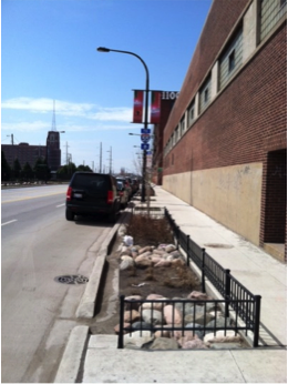 Raingarden Chicago